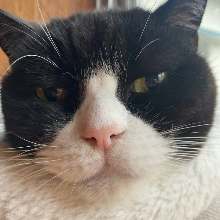 Ba88df0a 0a90 46da ad1f 649f9839cec5 1635901709638