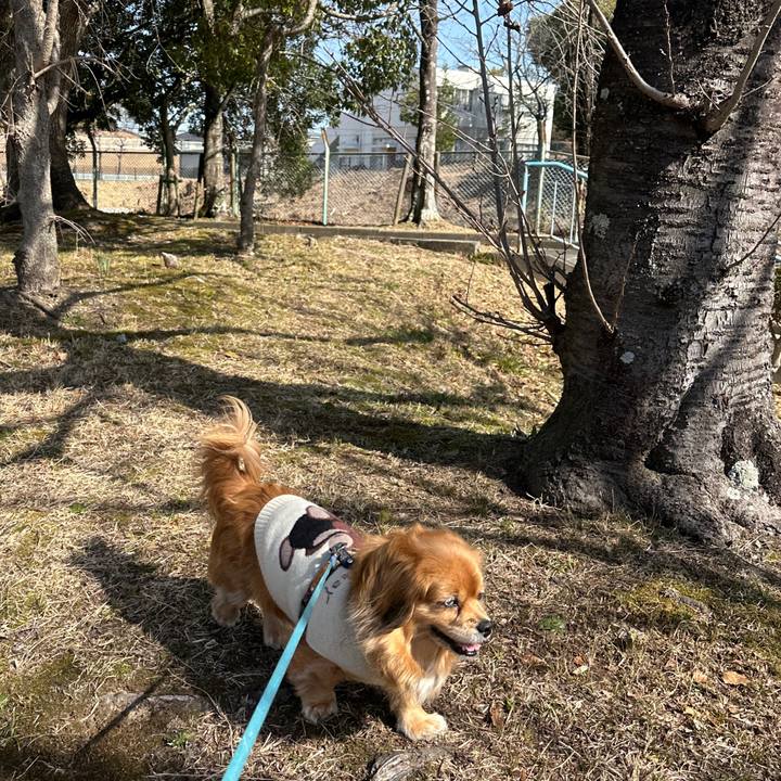 Ba89188e 780a 48d8 81cb 8a813ee5d96b 1709431045626