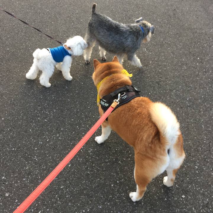 Ba8920ff 3bea 4b28 8a7b 0bb51f5feebd 1627077769188