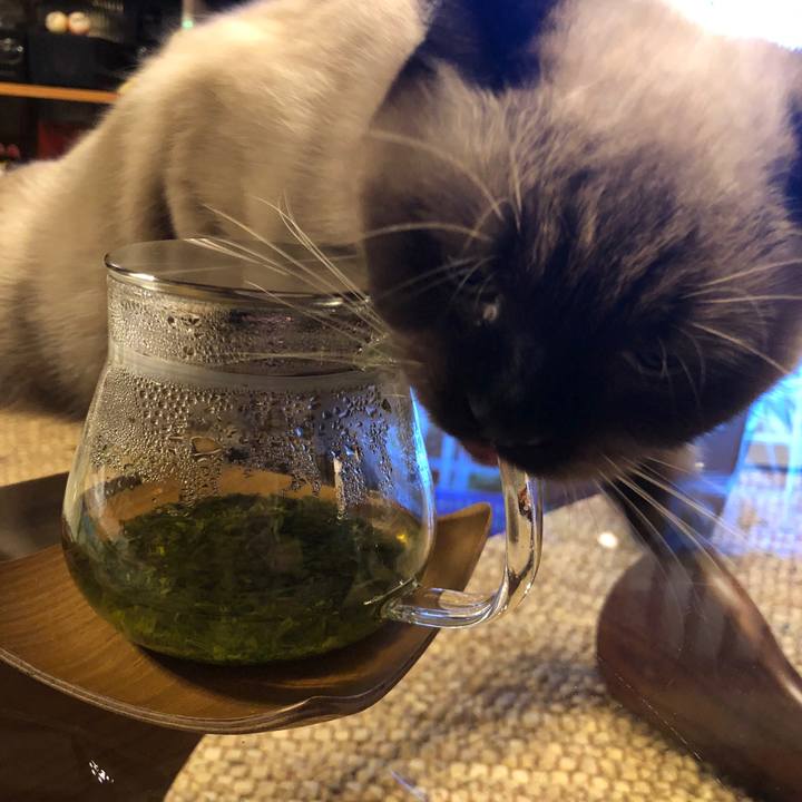 Ba893254 e8a5 4f75 a980 b4df000ec7cc 1603715432278