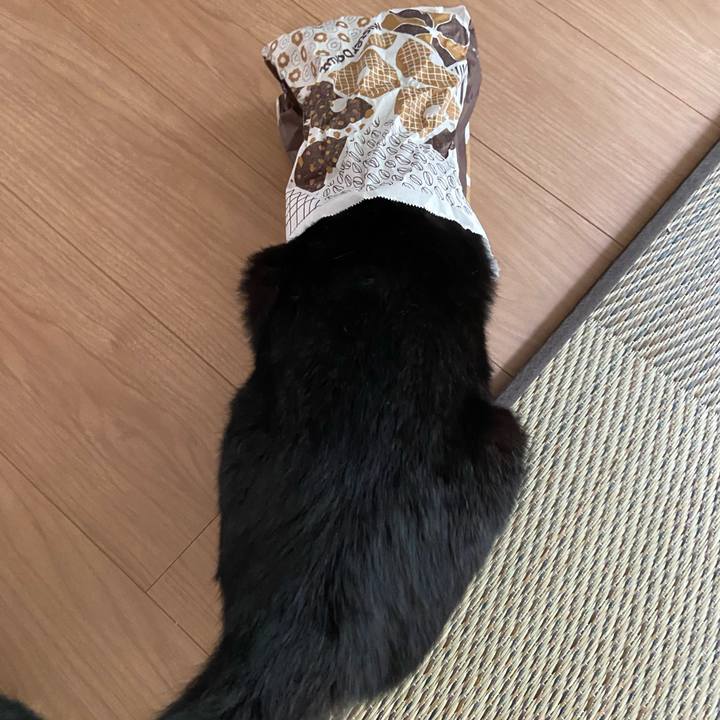 Ba897539 7955 4f74 9032 a46ec115018e 1623581507135