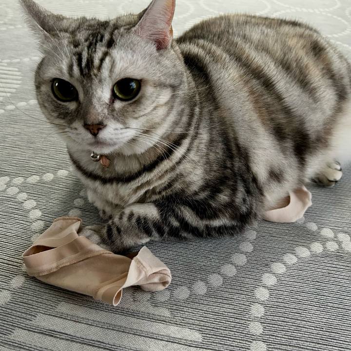 Ba89f1e2 4b17 4a3e a7bc f508252dbb51 1760048746406