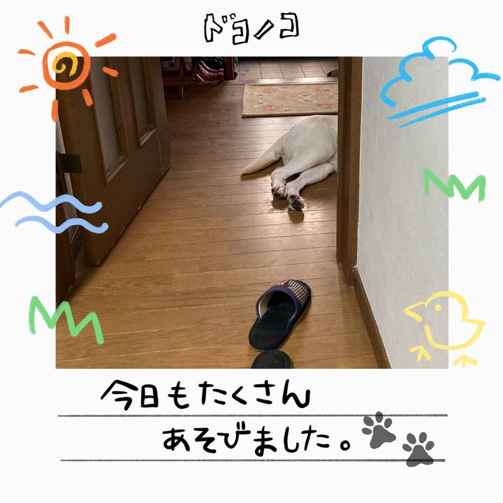 Ba89f7b7 04b2 4a31 9db4 78562c9bd34c 1755521441994