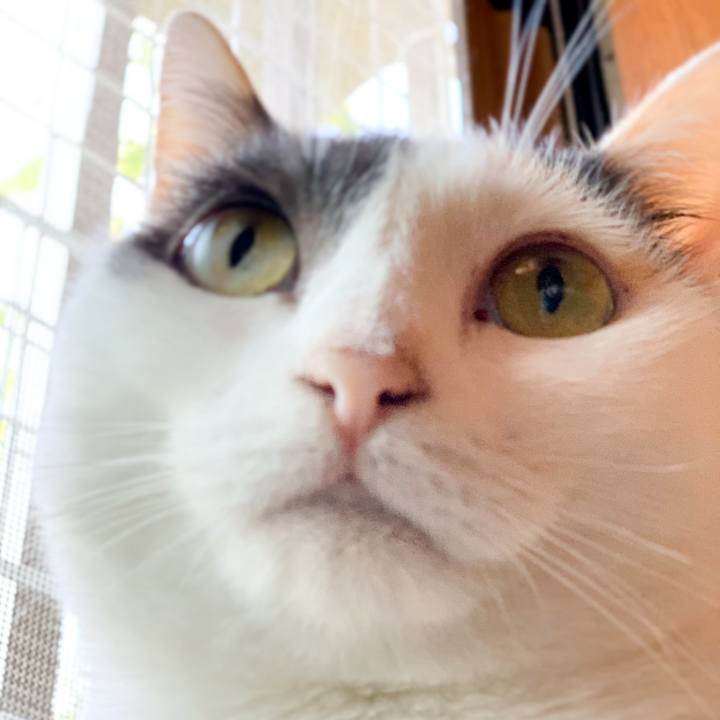 Ba8a37d4 318a 442a a532 f5e7b5a5c1ff 1539048949817