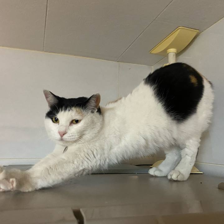 Ba8a7b5a 3b75 4927 a71b f2b866ef10c9 1643383711196