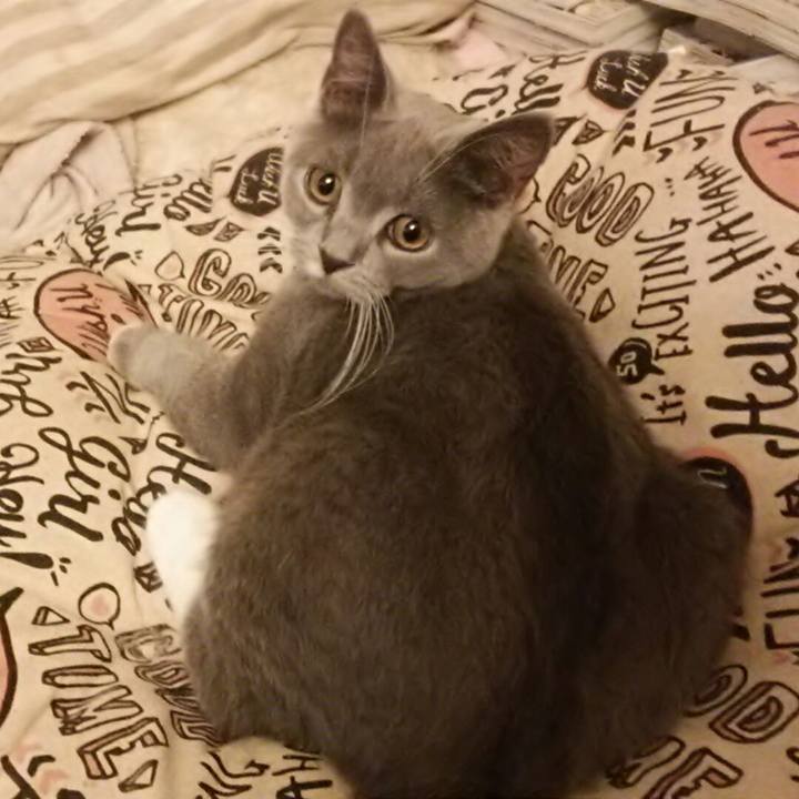 Ba8a8918 e7a6 4722 b302 dbea802309f5 1537354923162