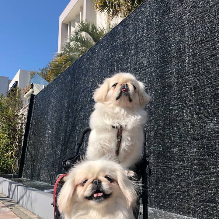 Ba8a8ceb dfb3 46f3 b18f a15ef56acb24 1551069778778