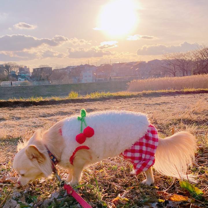 Ba8ab274 dd22 486f 8a6b 119cd3bc6d48 1643707592167