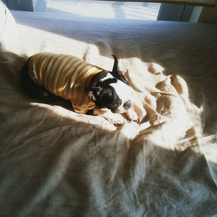 Ba8ab79f d12b 40af ba9f a5d934402f28 1522478656299