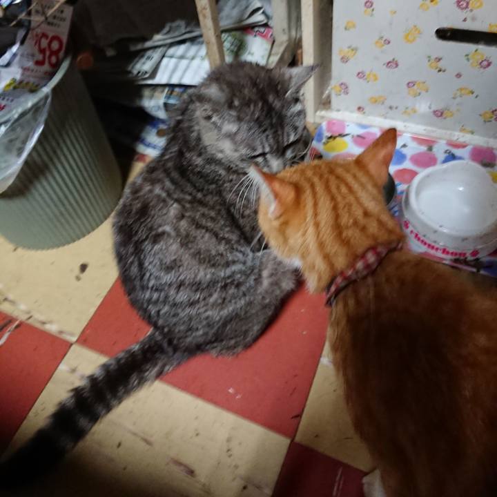 Ba8ac7a1 3ccd 4ba2 af11 710e20777849 1565120957531