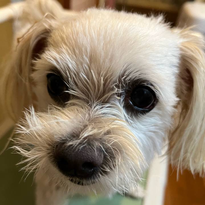 Ba8b6b30 4241 4f43 9c54 d1090559c938 1689160346531