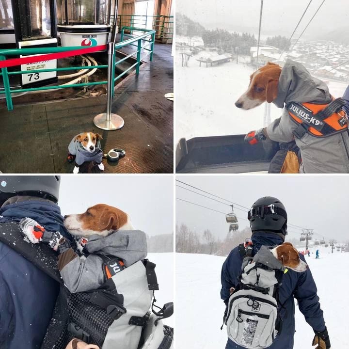 Ba8b7261 8d52 4cc0 b763 6b06d40c6f68 1545639806586