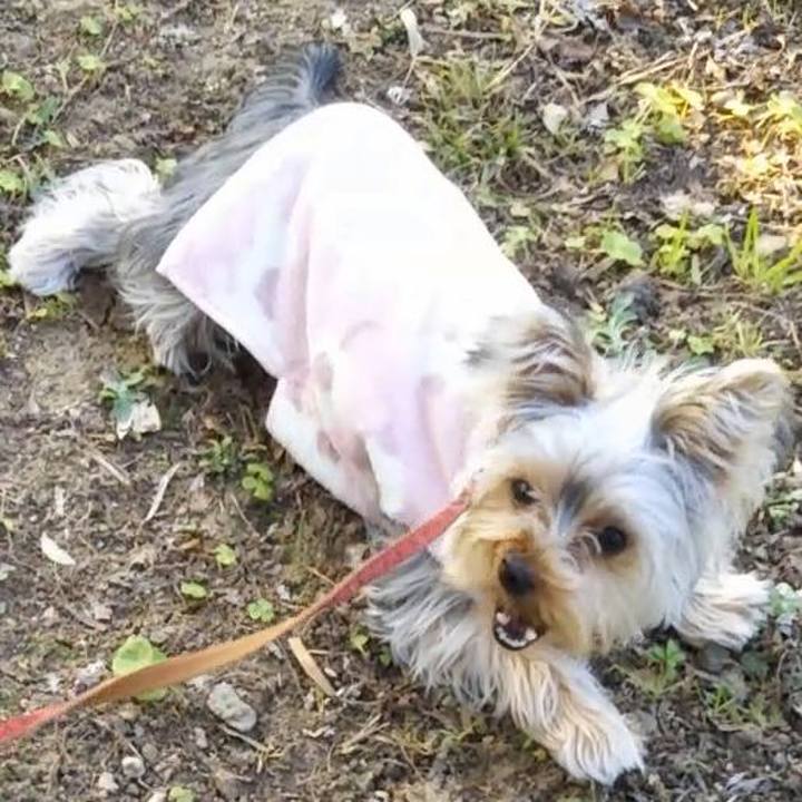 Ba8b91a1 af98 41d1 bd6d 5021b7e58df6 1548670409324