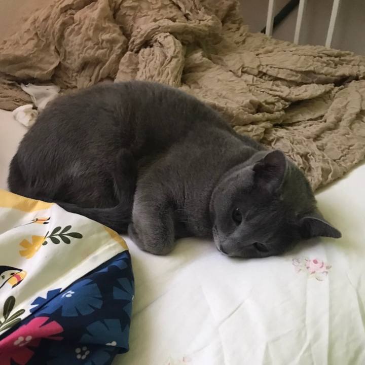 Ba8b95b3 cd60 4d0b 8dae a319fd364ae4 1637891708316