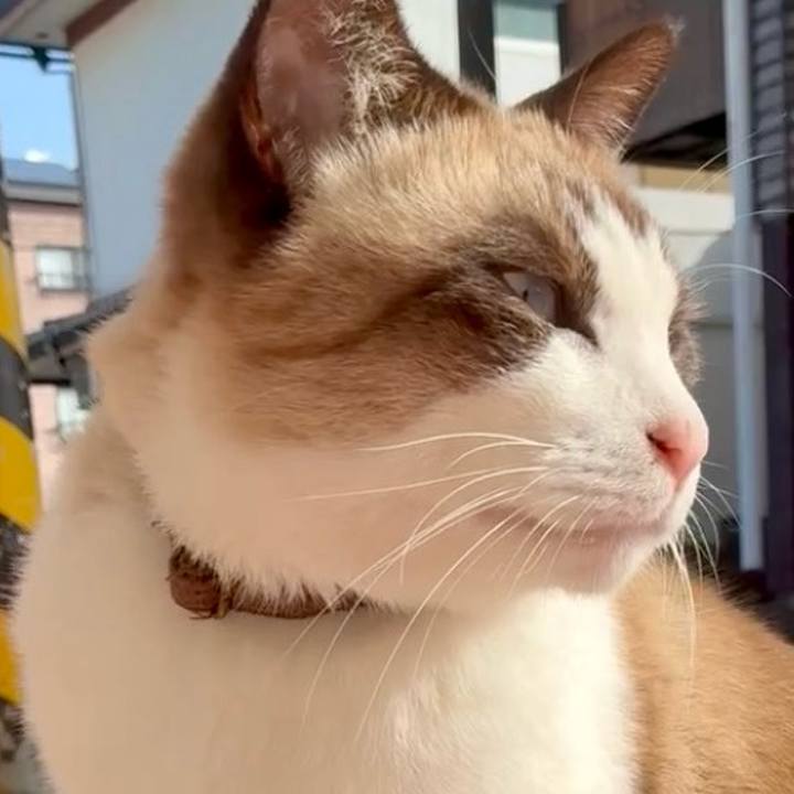 Ba8bf79b e4aa 4499 b6f4 80d478e61be3 1764555368622