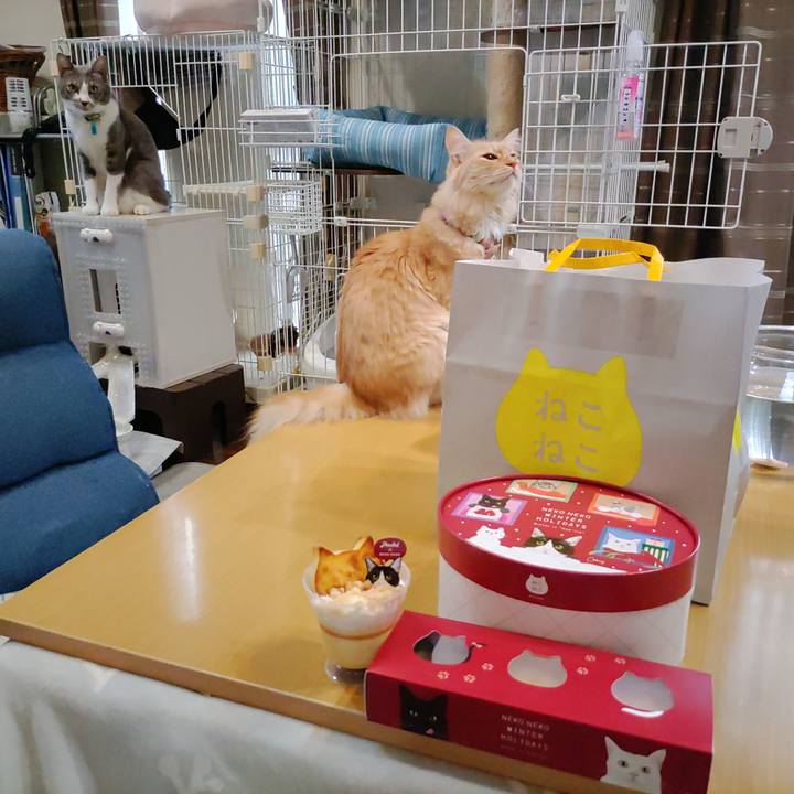 Ba8c2bd6 818d 4e35 9bd3 a2fcd5847398 1699087605426