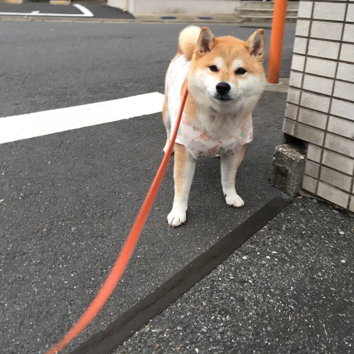 Ba8c7669 3faa 431f b868 afc0ec07b06d 1560333008235