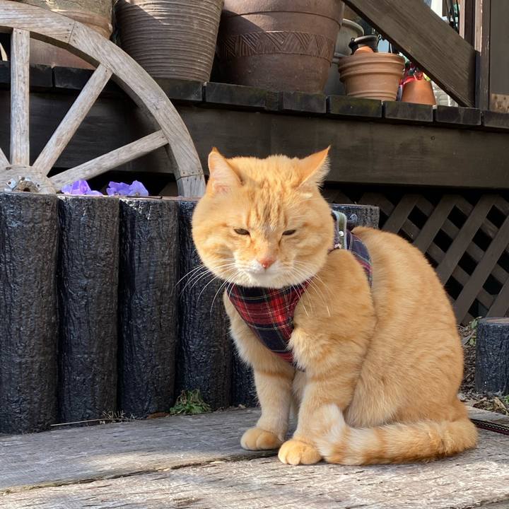 Ba8c8f6f 9615 4f84 b589 7dd925cabfcf 1675743287781