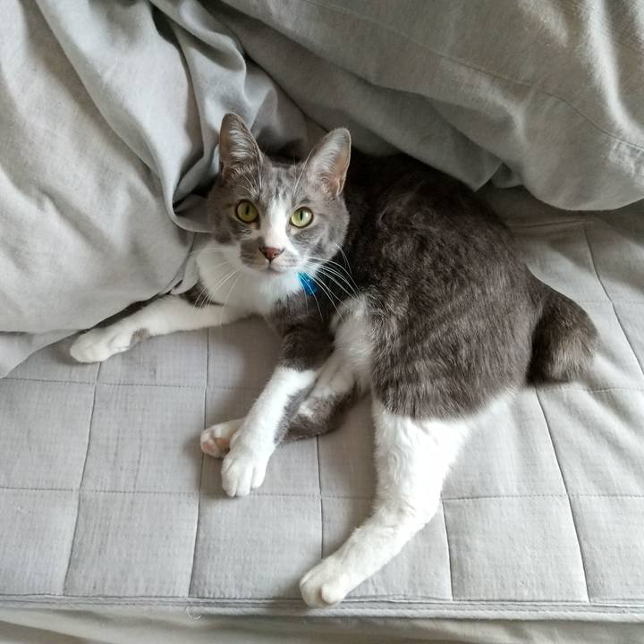 Ba8cc511 181b 42f6 bc85 7821394de6e9 1615508162446