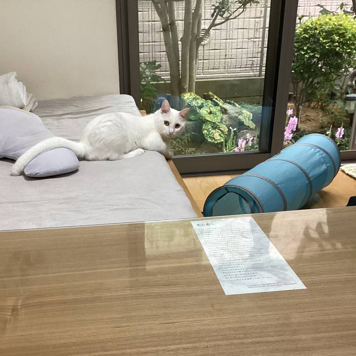 Ba8ce476 d45a 4a71 ab5a c2aeaad1b0d9 1662853781053