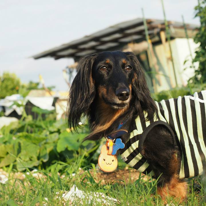 Ba8cfeb2 ff23 4d5f 8978 1fbc2aeea4ef 1562408681942