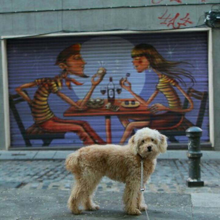 Ba8d52c3 acb9 4513 8b1a bc9dd346a15b 1589553320425