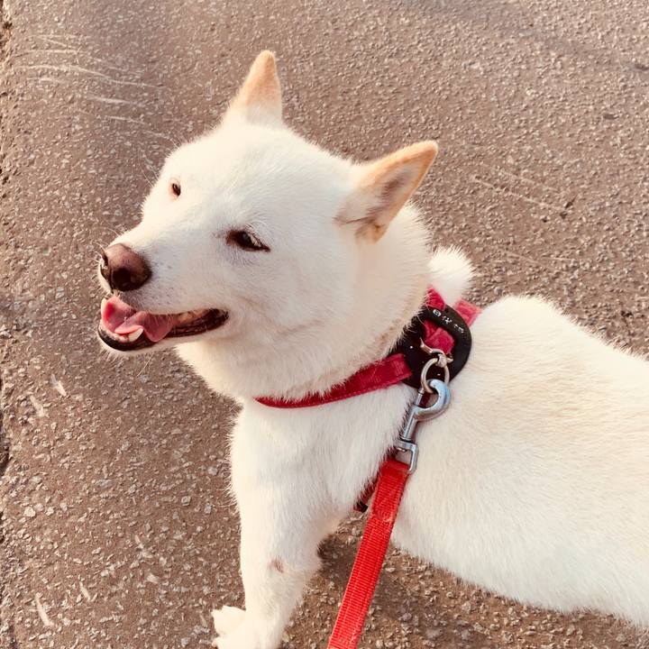 Ba8d88a7 8330 4155 b4a5 1198b45c1de5 1563223594553