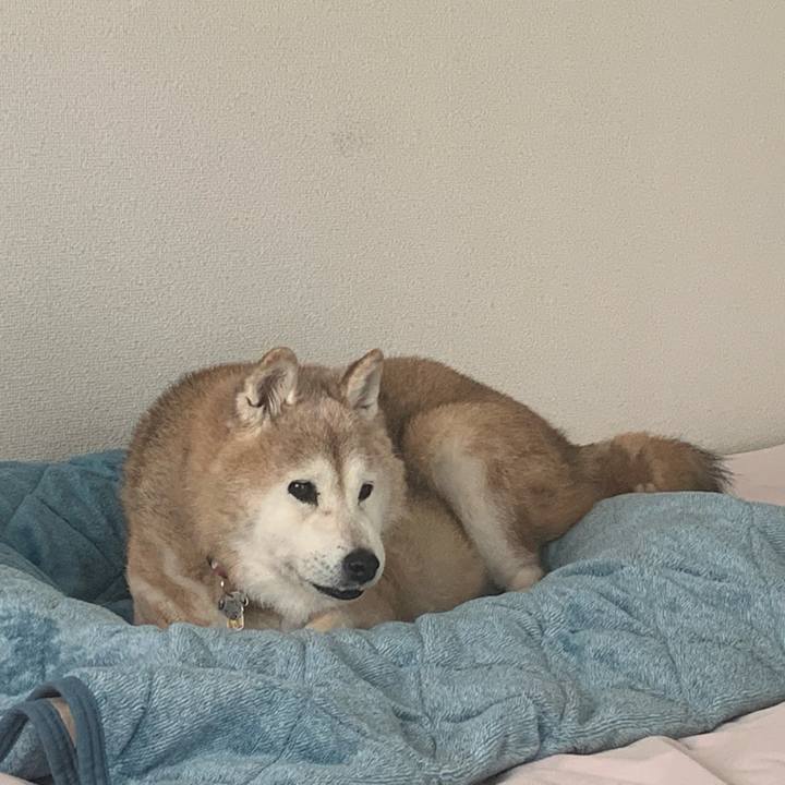 Ba8da0f0 e3c4 4180 b6a3 44104fa1408e 1674988086006