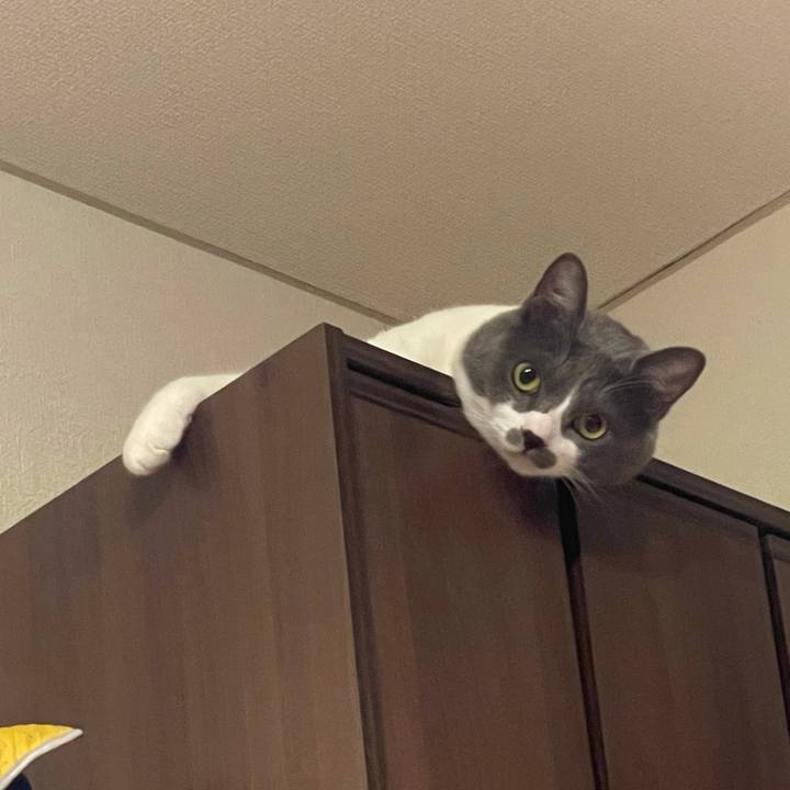 Ba8da216 cef8 4258 aac7 e09bfc2ee458 1627386072454