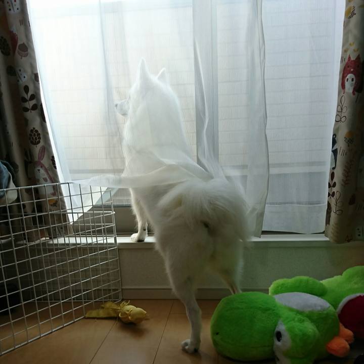 Ba8da5c6 3d83 4e6f 93d0 57f72e63f4cf 1510288042713