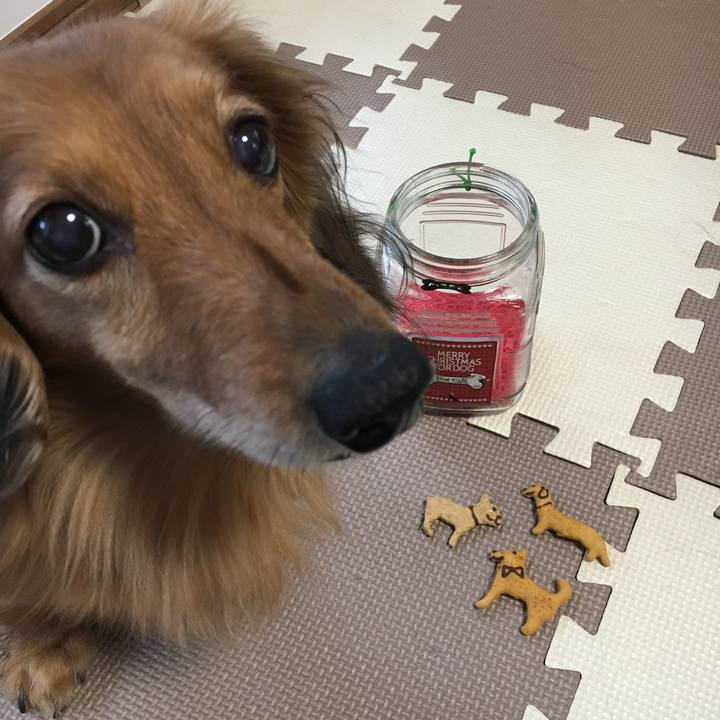 Ba8de8fa 9561 40e6 bb1d d2bd05b0fe44 1550321682745