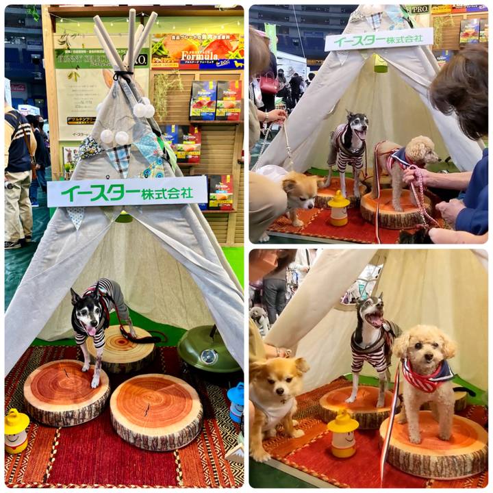 Ba8e1863 2f1b 408e 8942 0b8226cc0985 1651662048048