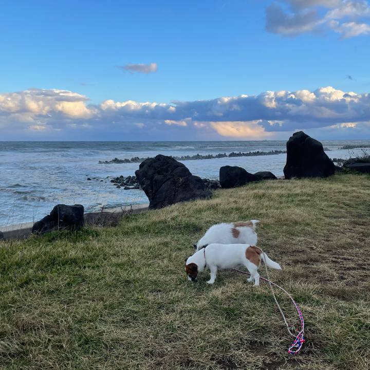 Ba8e1f4a 64c3 4918 be95 d1712a50669b 1730932291169