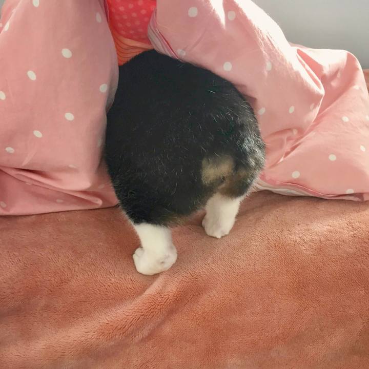 Ba8e6951 7433 48c4 a1bb fe45b912fd98 1591280343950