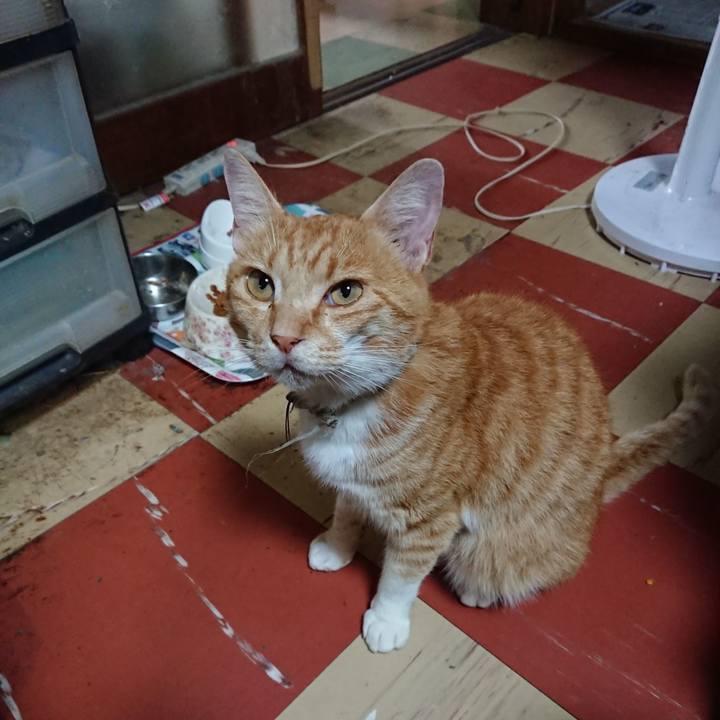 Ba8e86b7 331a 499a 8e9f d39530e38c10 1594441462457