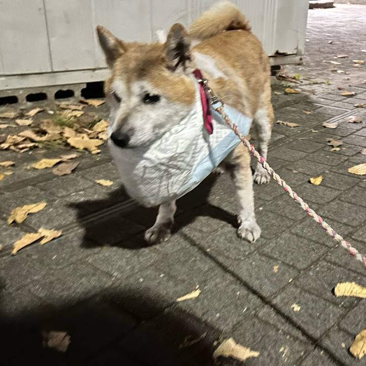 Ba8eb2e1 8848 4d36 b516 291c82a34ccf 1764580677200