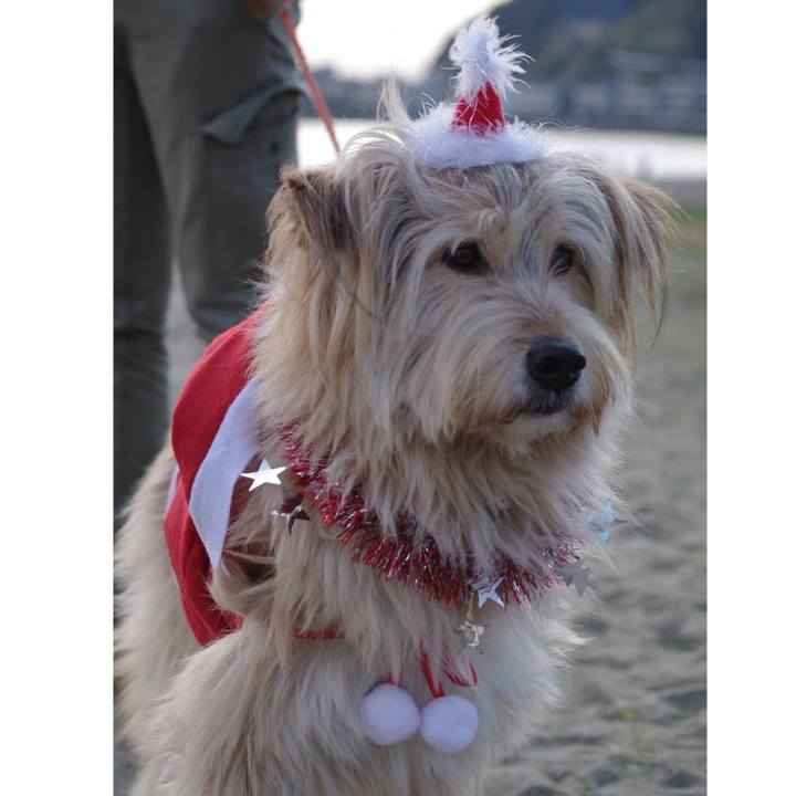 Ba8edf47 c376 4f44 a5ef 2c4b6f60de4f 1608769795373