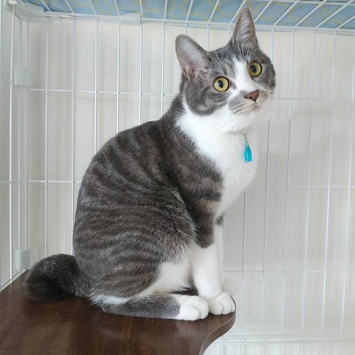 Ba8ee13e 456e 4e28 a9d6 354e3363a02f 1586993428026