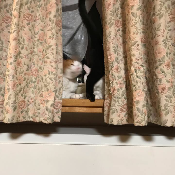 Ba8f4522 479c 4514 894b fc659bf7b585 1578138777254