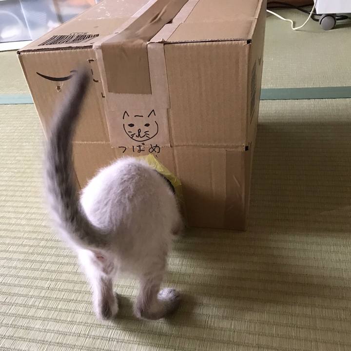 Ba8fe492 cc52 4106 84e4 5f7914000d1a 1558344468413