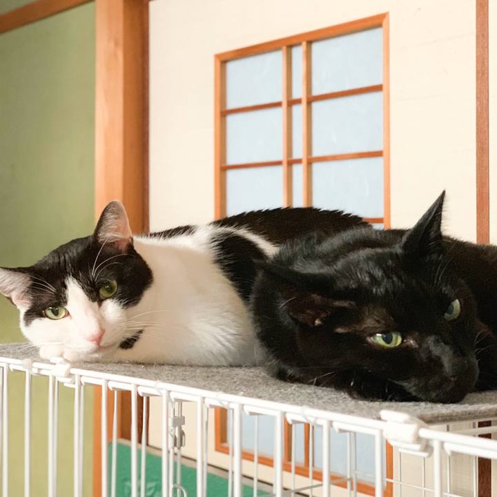 Ba90900a b58d 4702 b3d3 432c526f9d5a 1567561156691