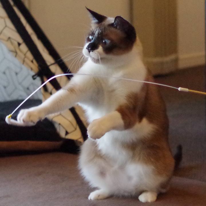 Ba909ef8 9d07 4eb5 b4d8 9ee999debbaa 1523150370958