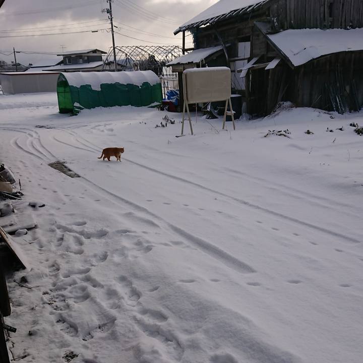 Ba910d5f 3b80 4ddb b8dd 5ac4156e49fe 1581204162944