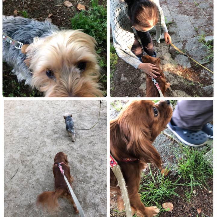 Ba918fb6 7f2c 4a91 8245 108405a8c225 1556877819146