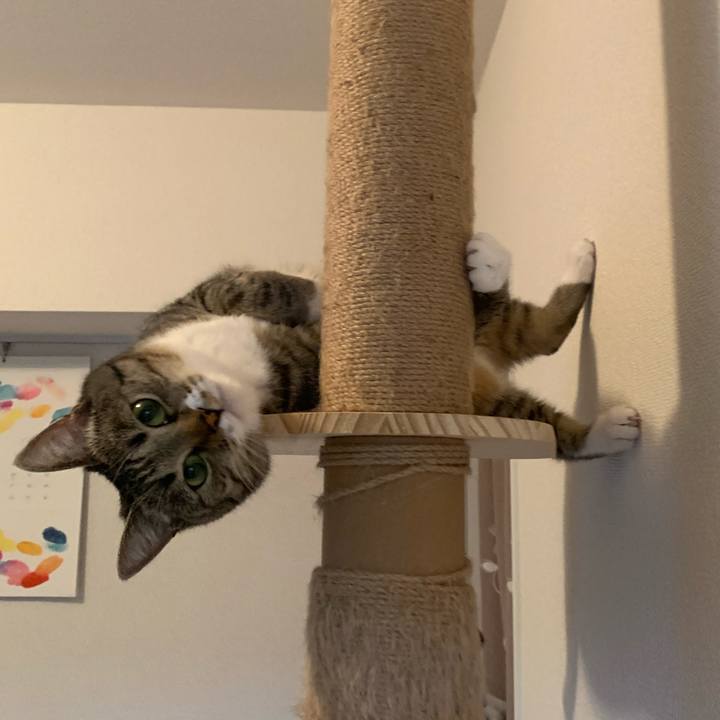 Ba91a05a 803c 4227 9caf dccf84171fac 1625360648091