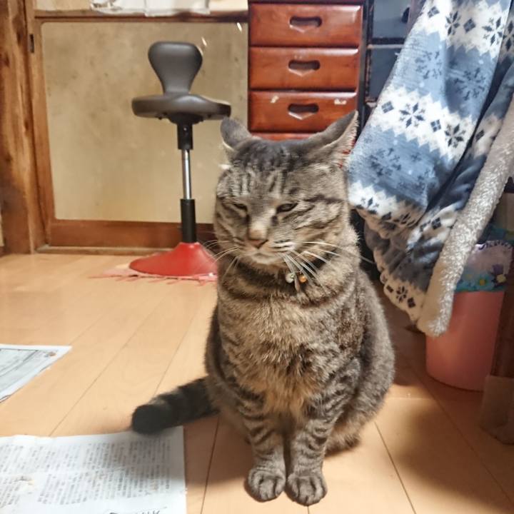 Ba92154c 7b0b 43fe ada7 b941940826d4 1651573331191