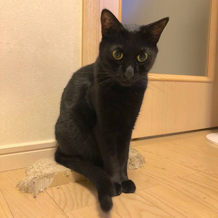 Ba923f3f 6e07 4b14 829c 7afc20051fda 1570717486365