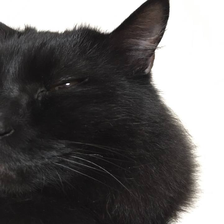 Ba92a729 6394 42a3 ac1c dbaa5b91c93d 1512617231584