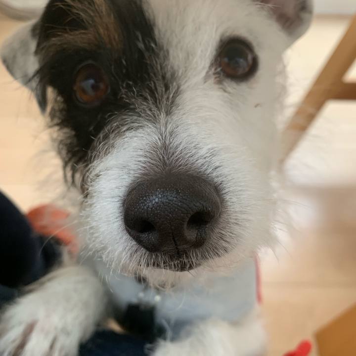 Ba92b49a ae8a 42c7 8c81 84ee9b072d54 1550185554645