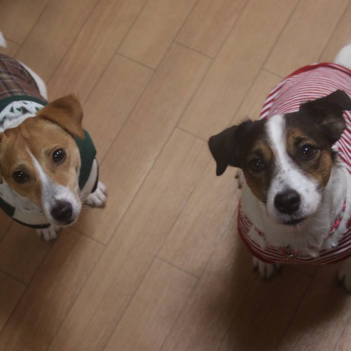 Ba92c516 f895 4f99 96b1 87fc2c7e8727 1512520811587